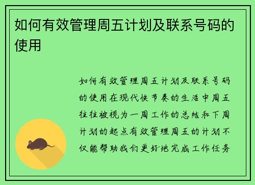 如何有效管理周五计划及联系号码的使用